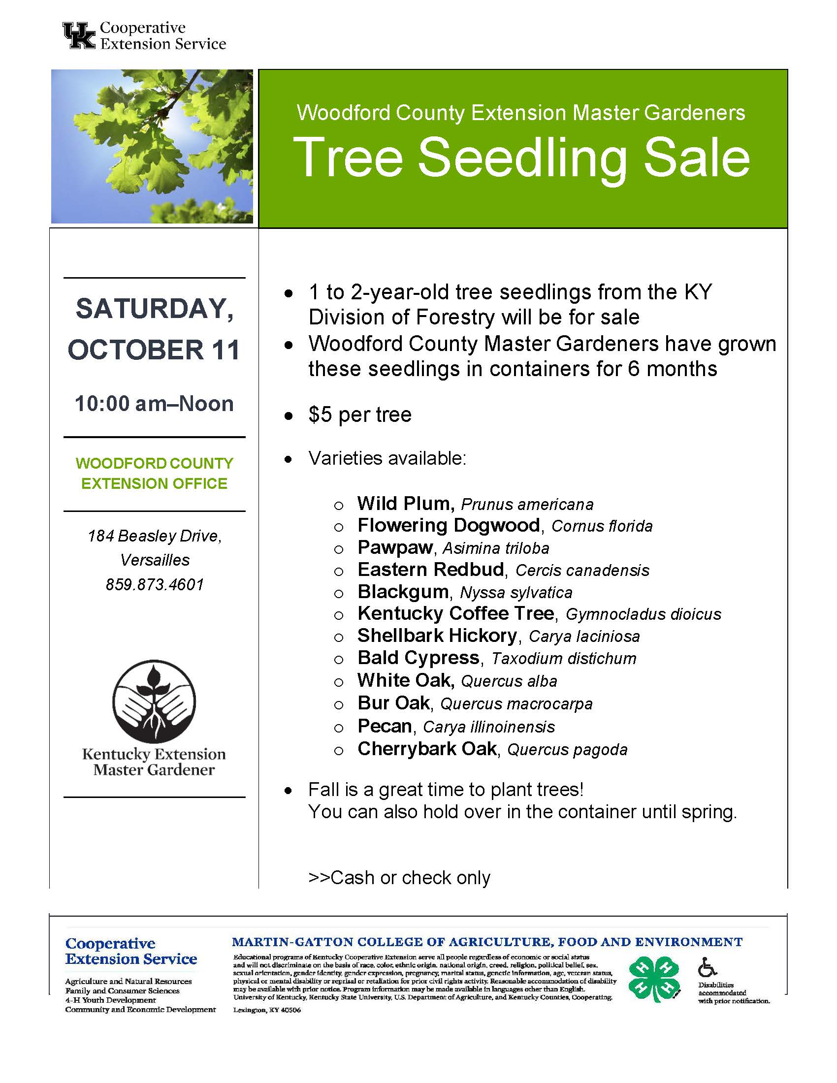 Flier
